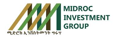 Oro Mining Group (New)